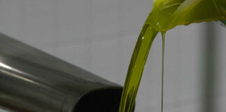 Olio Capitale 2024, al via le manifestazioni di interesse