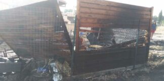 Fiamme in contrada San Marzano, bruciati oltre due ettari vicino a ville e ristoranti. Salvati animali