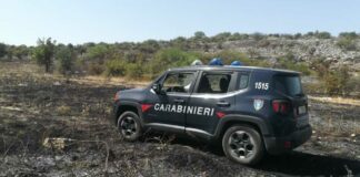 Carabinieri Forestali, pronta la campagna di contrasto agli incendi boschivi in Puglia