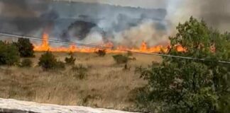 Incendio a Castel del Monte, il Parco Alta Murgia: «E’ di natura dolosa, aumentare i controlli»