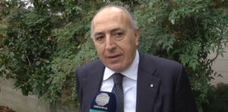 Guerra alla criminalità, il SIAP torna a denunciare la carenza di personale delle Forze dell’Ordine