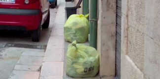 Raccolta dei rifiuti, il Consiglio di Stato rigetta il ricorso: appalto confermato alla RTI Gial Plast – Si.Eco