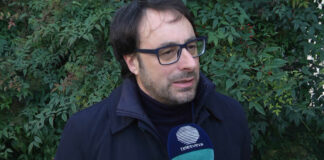 Manutenzione verde pubblico, un progetto da 200mila euro e 180 alberi piantati: via libera della Giunta