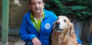 Cani allerta nel diabete, ad Andria la presentazione del Progetto Serena