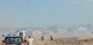 Vasto incendio tra Minervino Murge e Andria, a rischio decide di ettari di vegetazione