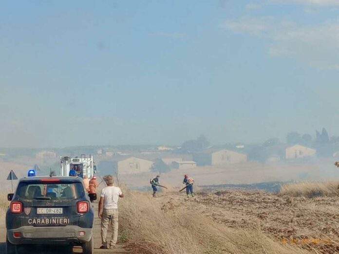 incendio andria minervino
