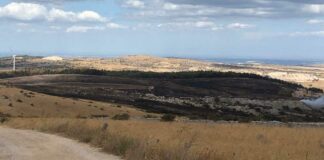 Domato l’incendio tra Minervino Murge e Andria, ma le fiamme hanno incenerito 150 ettari