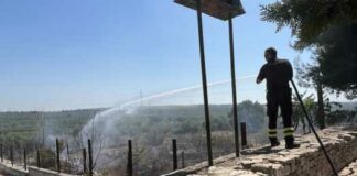 Incendio sui terreni della Masseria San Vittore: paura questa mattina ad Andria