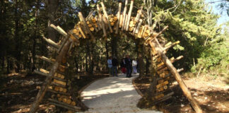 Furti di cavi elettrici nella pineta di Castel del Monte, danno da 30mila euro