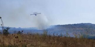 L’ennesimo incendio sulla murgia, bruciati 300 ettari nel territorio di Minervino