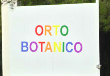 Andria celebra la Giornata degli Alberi: studenti all’Orto Botanico con la Multiservice