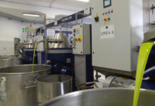 Al via tra pochi giorni “Frantoi Aperti”, ecco il fitto programma della 24^ edizione