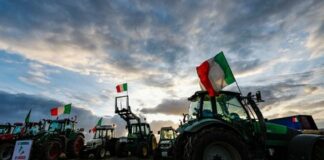 Verso Irpef agricola dimezzata, una grande vittoria sostenuta da Confagricoltura
