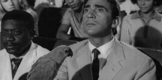 Walter Chiari, l’omaggio di Andria a cento anni dalla nascita