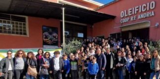 Concorso nazionale “Olio in Cattedra 2023-24”, la Verdi-Cafaro vince il primo posto nel Bimboil Junior
