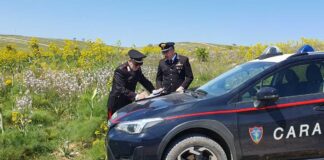 Truffa dei pascoli ai danni dell’UE, i carabinieri forestali sequestrano 400mila euro