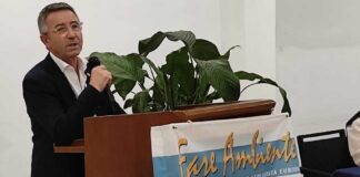 Crisi olivicola, Miscioscia (FareAmbiente): «Serve strategia comune per valorizzare l’olio italiano e Coratina»