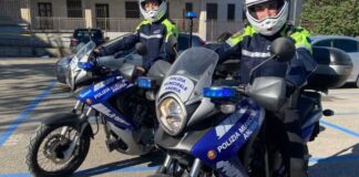 Controlli sui terreni incolti per prevenire gli incendi: ad Andria 213 sanzioni in 20 mesi