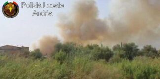 Terreni incolti, identificate ad Andria 101 persone che non hanno osservato le disposizioni comunali