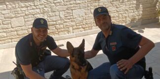 Andria, la Polizia salva un cucciolo di pastore tedesco