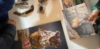 Online l’avviso per l’affidamento del programma inserito nelle attività di MurGEopark