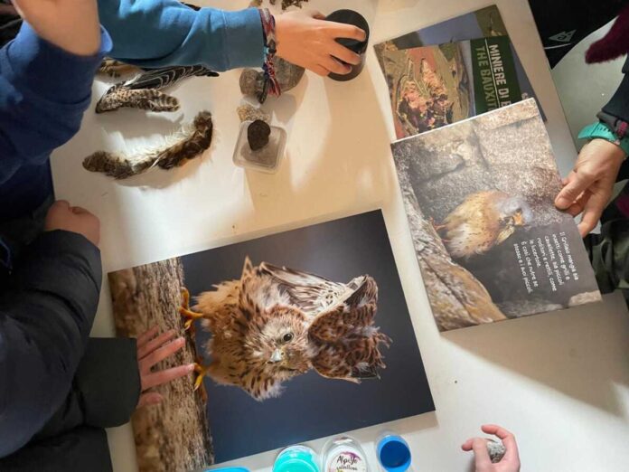 Laboratori GeoSchool