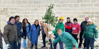 Multiservice e utenti del Centro di Salute Mentale mettono a dimora nuovi alberi