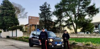 Truffa ad una donna di Spinazzola, arrestato un 28enne napoletano