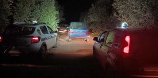 Continuano i furti di olive, le Guardie Campestri recuperano 5 quintali in due contrade