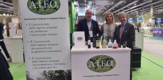Agricoltura, linee guida del Piano Olivicolo accolgono le proposte dei frantoiani. AIFO pronta a contribuire