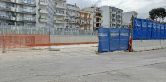 17 alberi tagliati in via Vaccina, è polemica. 3Place: «Ora ci diranno che saranno compensati»