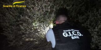 Sequestro da oltre 2 milioni di euro per 4 soggetti condannati a marzo per traffico internazionale di droga