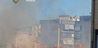 Incendio di sterpaglie: intervento della polizia locale e dei vigili del fuoco