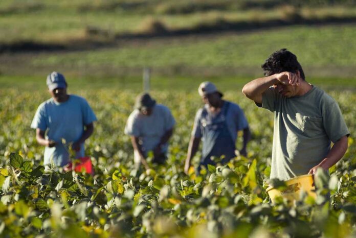 lavoro aperto - caldo