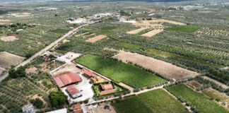 Sanità, l’allarme di Tonia Spina (FdI): «Troppe criticità per il nuovo ospedale di Andria»