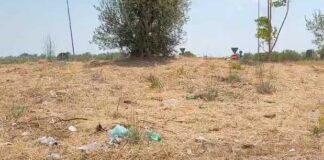Incuria e degrado nelle rotatorie all’ingresso di Andria e di Trani