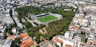Scompare una parte della pineta: previsto il taglio di 100 alberi a causa di un coleottero