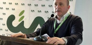 Crisi idrica Barese-Bat, CIA: «Oliveti a rischio senza irrigazioni»