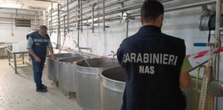Batterio Listeria in prodotti caseari ad Andria e Barletta: sequestrati due locali dai Nas di Bari