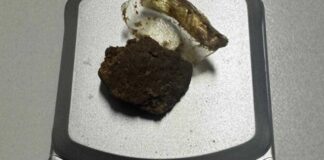Sorpreso dalla Polizia Locale a nascondere hashish: segnalato alla Prefettura