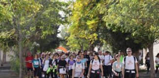 Tutto pronto per la X edizione della Giornata Nazionale “Camminata tra gli Olivi”