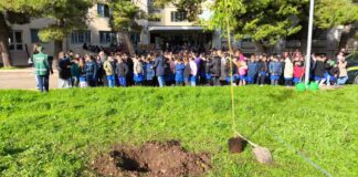 L’Istituto Comprensivo “Rosmini-Alighieri” celebra la Festa dell’albero