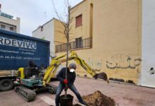 3Place dona tre carrubi e altrettante roverelle di oltre 3 metri alla città