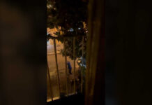 Sabato sera di follia nel centro di Andria, devastata una kebabberia