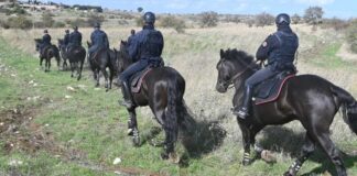 Carabinieri intensificano controlli, rinvenuti 16 veicoli rubati nel Parco dell’Alta Murgia