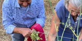 La caritas diocesana accanto agli over 65 con il progetto “Accanto”