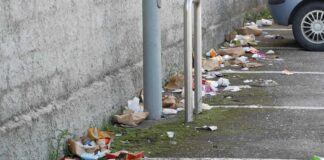 Il parcheggio del Penny resta “casa” per incivili, e c’è chi passa e sporca terreni privati
