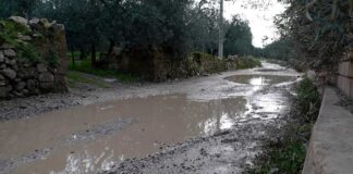 Strada colabrodo, rifiuti e poca illuminazione: protestano i residenti di contrada Chiancarulo