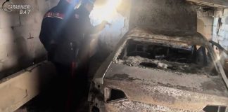 Blitz nell’Alta Murgia, smantellate dai Carabinieri le centrali del riciclaggio d’auto