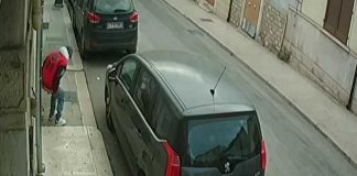 Defeca in strada in via pendio San Lorenzo